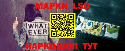 мяу мяу мука Бузулук