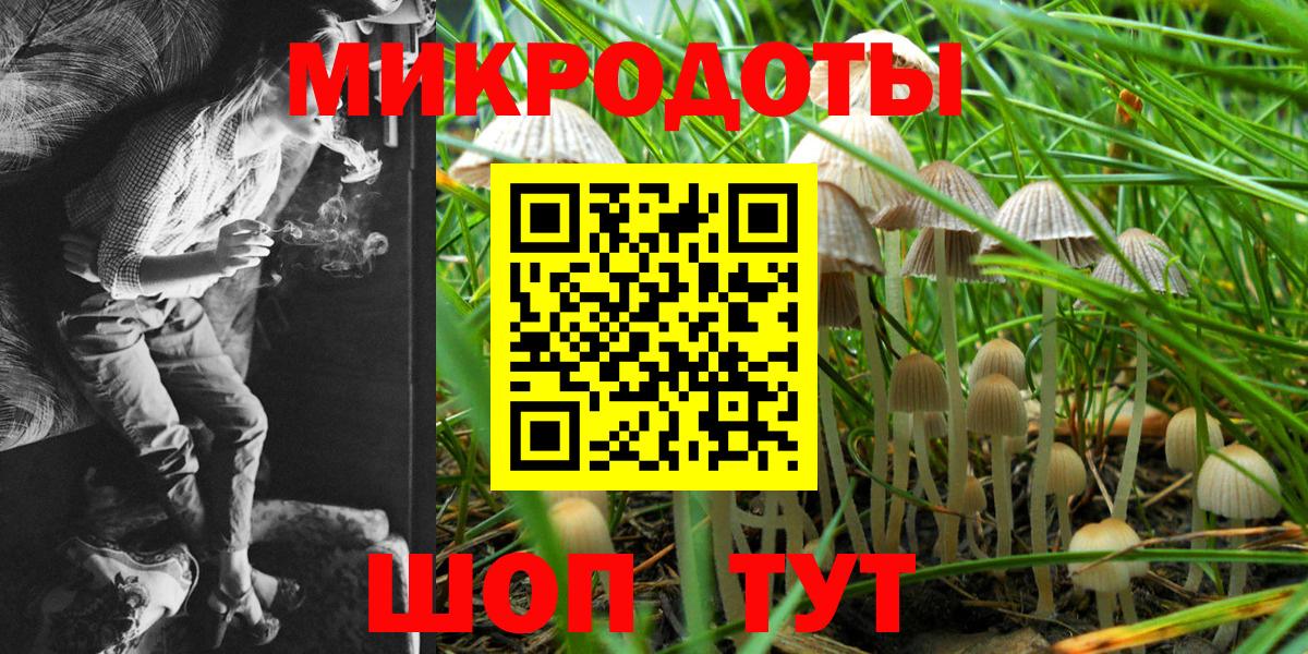 Галлюциногенные грибы MAGIC MUSHROOMS Кострома