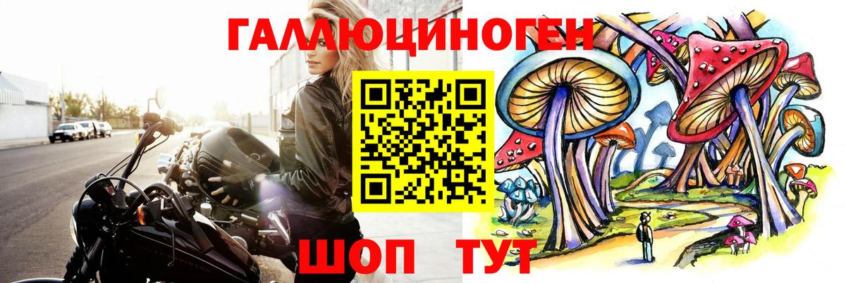 Псилоцибиновые грибы Psilocybe  Вход с VPN  Псилоцибиновые грибы мухоморы  наркота  Кострома 