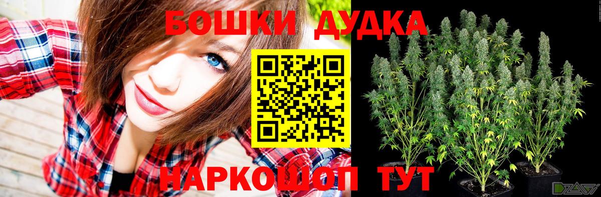 Марихуана план  Шишки марихуана VHQ  Кострома  Вход с VPN  Бошки Шишки Bruce Banner 